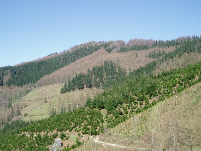 Hego-ekialdetik ikusita