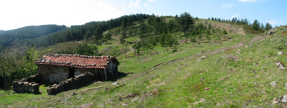 Legazpi aldeko bizkarra