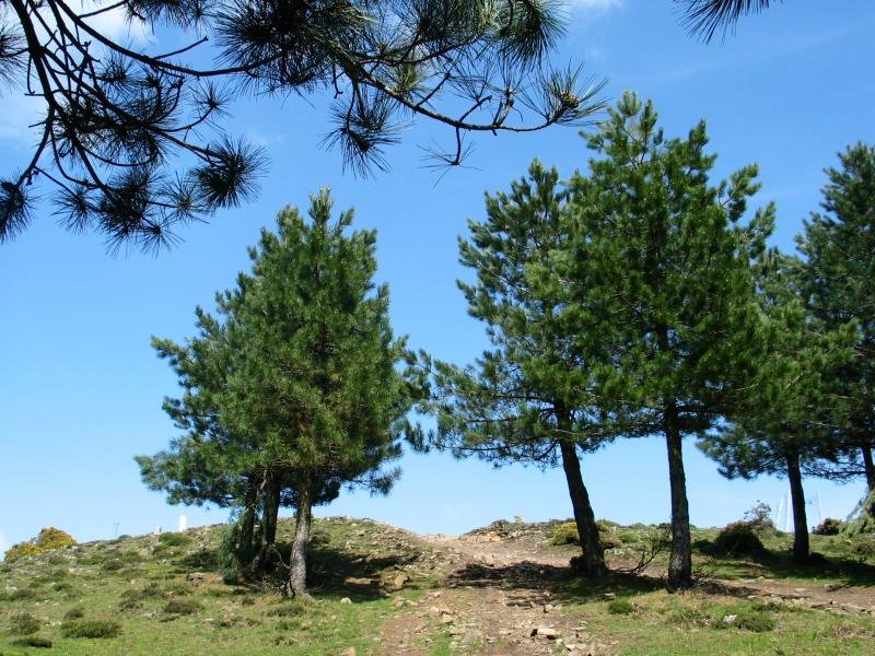 Tontorrerako azken metroak