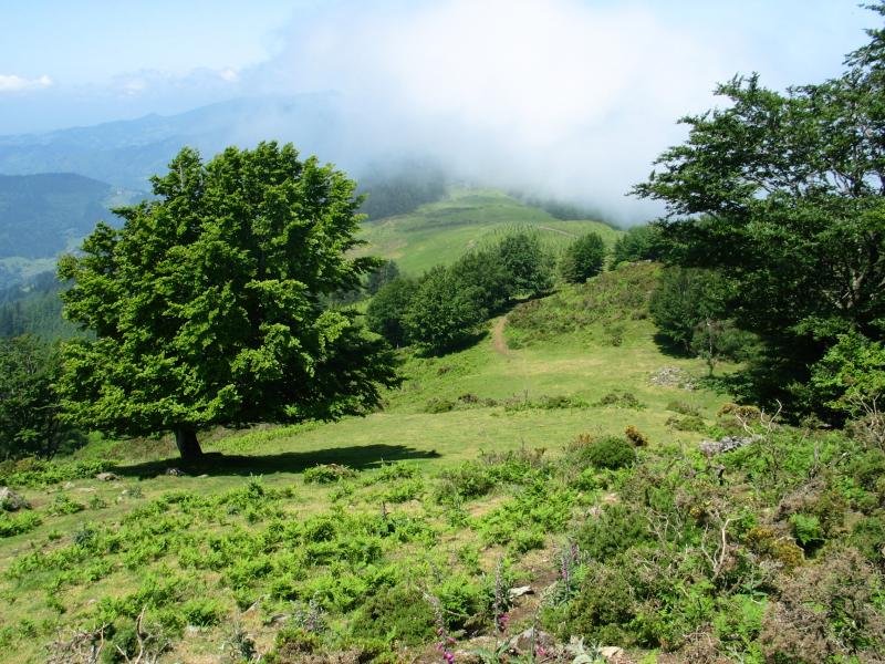 Tontorretik mendebaldera begira