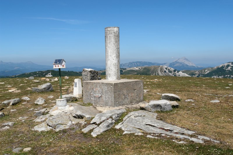 Buzoia eta gainerakoak