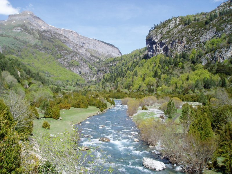 Bujarueloko bailararen ikuspegi bat