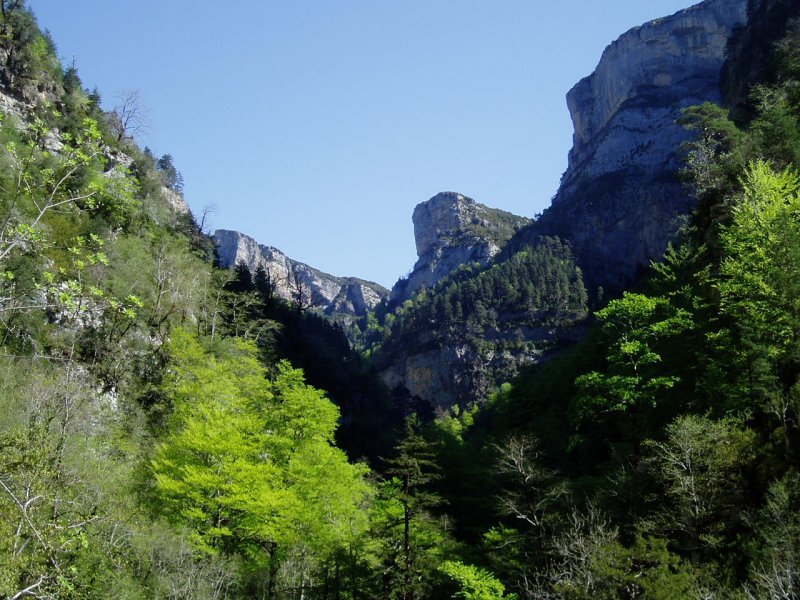Añiscloko arroilaren ikuspegi bat