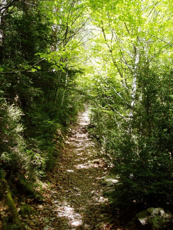 Añiscloko arroila zeharkatzen duen bidezidorra