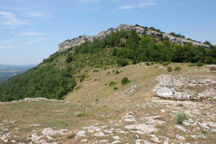 El Santo La Casillako lepotik