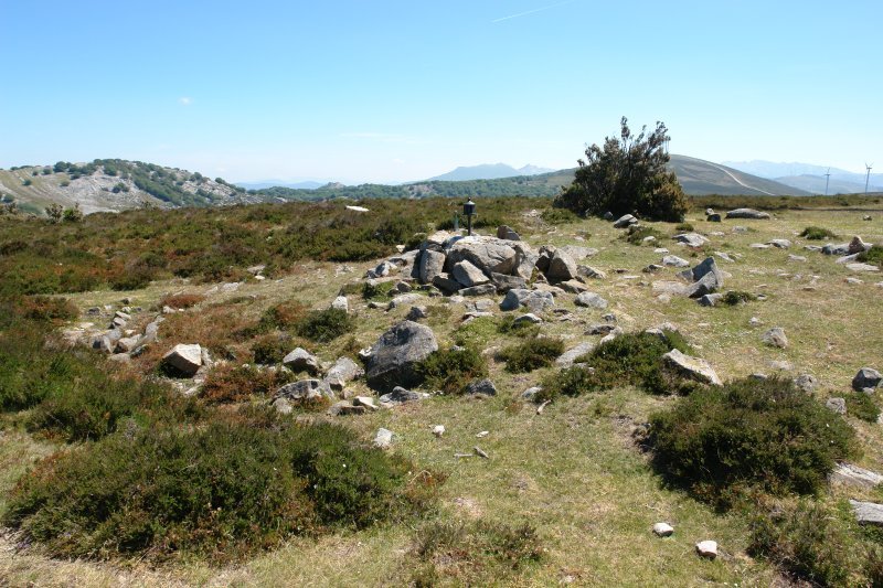 Buzoiak dauden tokia