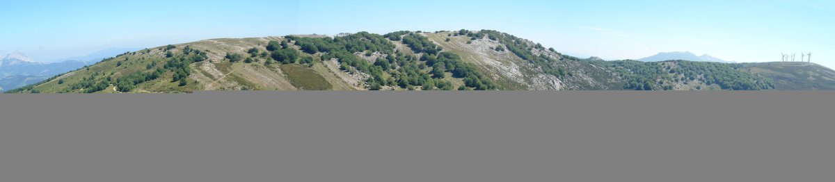 Alabietako baila txikia, iparraldean