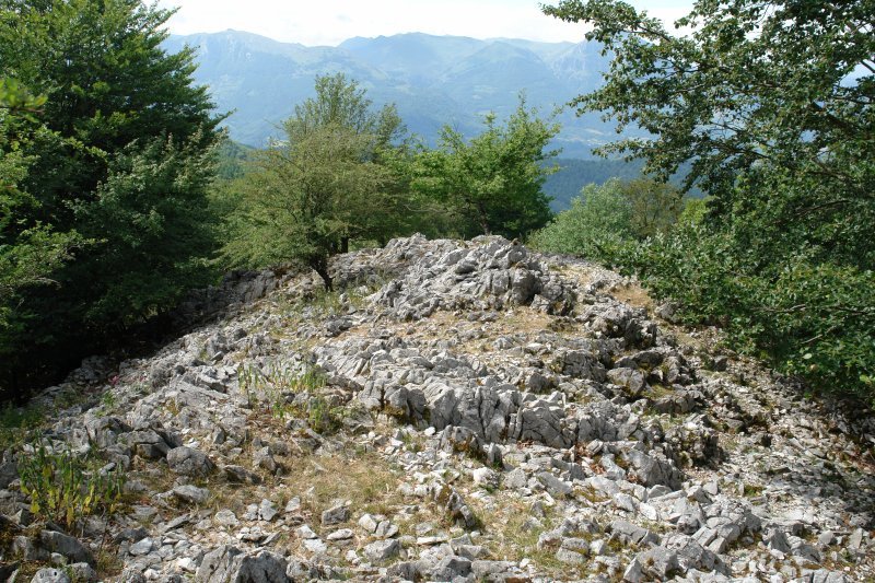 Tontorraren inguruak