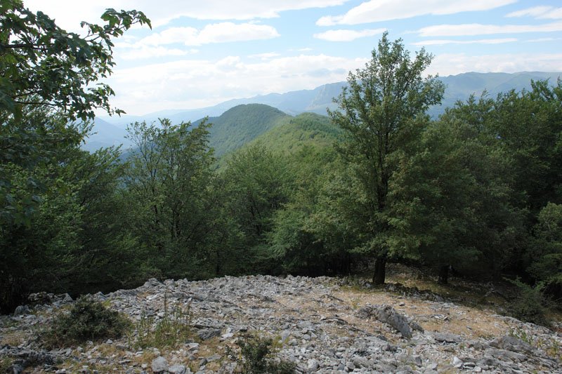 Lapar mendia, hegoaldeko bizkarrean nagusi