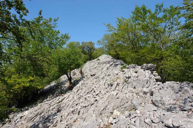 Lapar: HEko bizkarra