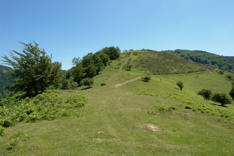 Uniateko HMko bizkarra