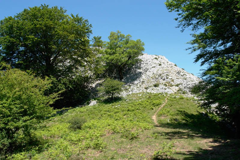 Tontorrerako azken txanpa ekialdetik