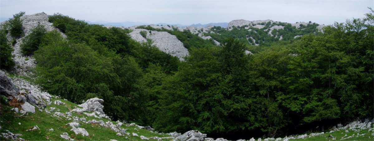 Itxinaren ikuspegia; eskuinaldean atzean Axkorrigain ekialdetik ikusita
