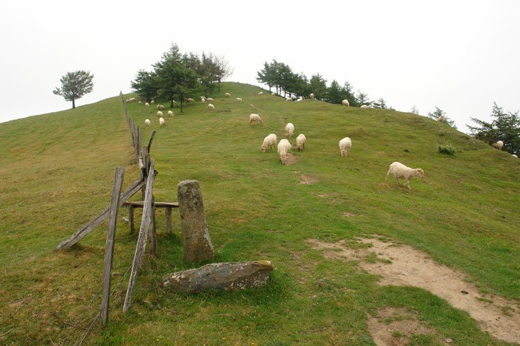 Tontorra mendebaldetik