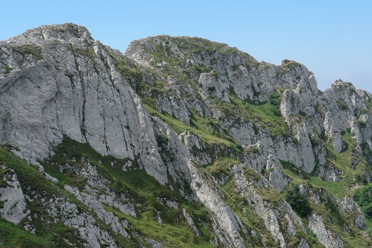 Tontorra