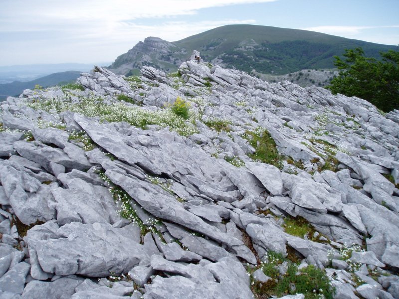 Kutxak tontorra; atzean Gorbeia eta Aldamin