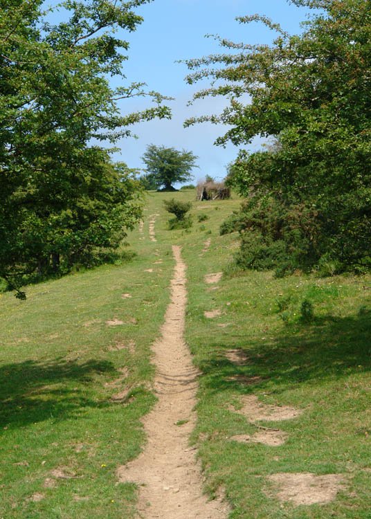 Samiño eta Izazpe arteko bidea