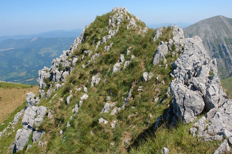 Tontorra