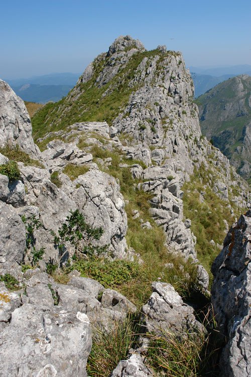 Tontorra eta gandorra mendebaldetik