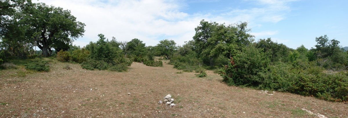 Birgara aldeko bizkarreko paisaia