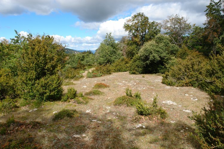 Tontorraren inguruak