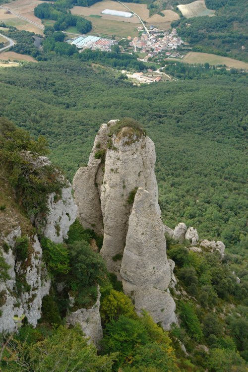 Artabia aldeko haitza