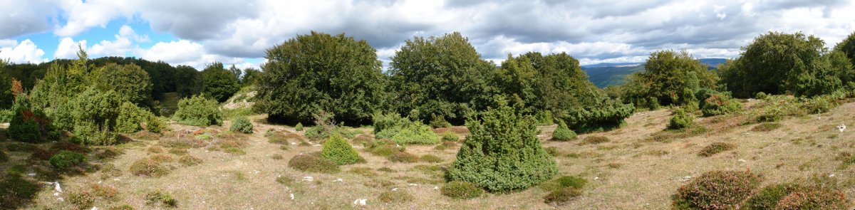 Bi gainen arteko paisaia