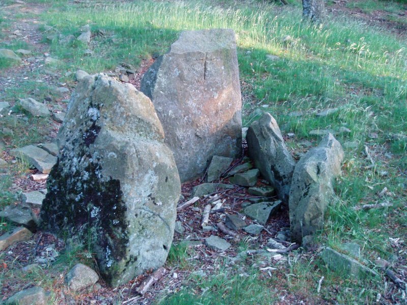 Bernoako trikuharria