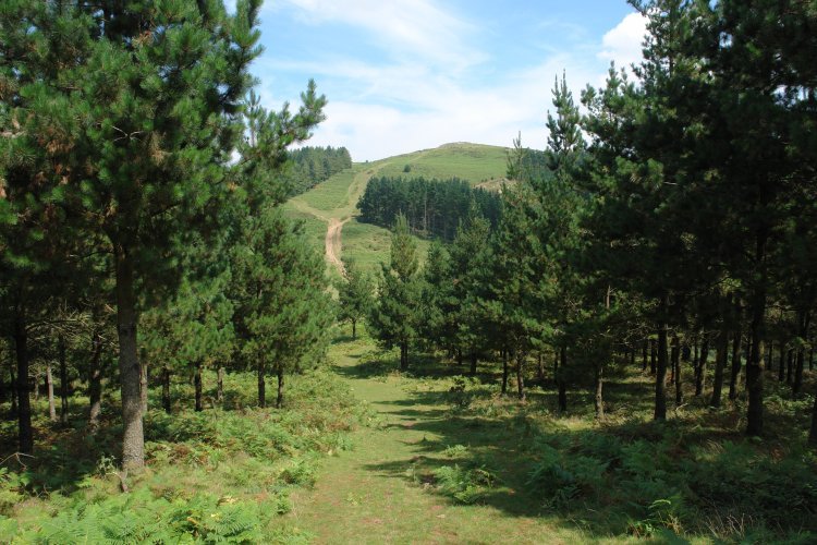 Garagoiti, Akondia aldeko bidetik