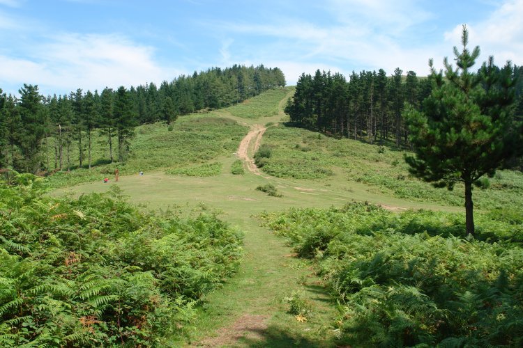 Garagoiti eta Kalamua arteko lepoa