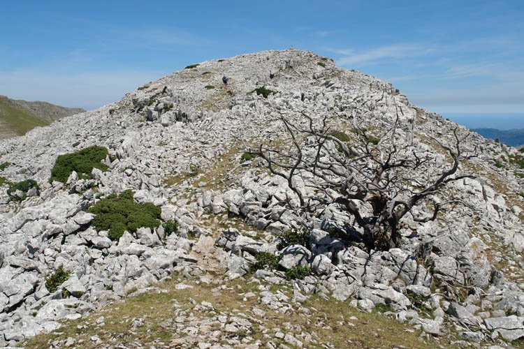 Tontorraren inguruak