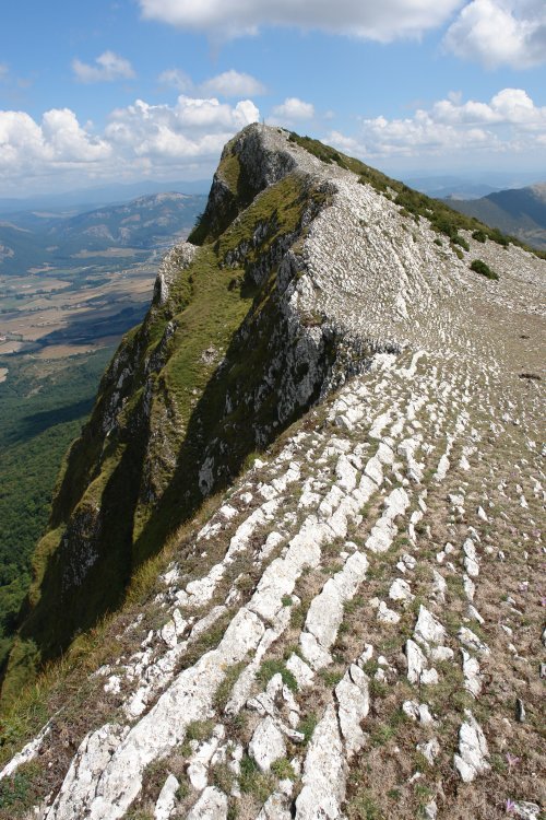 Tontorra mendebaldetik