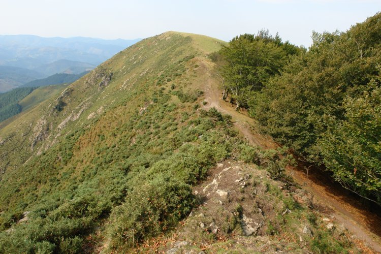 Ekialdeko gandorreko bidea