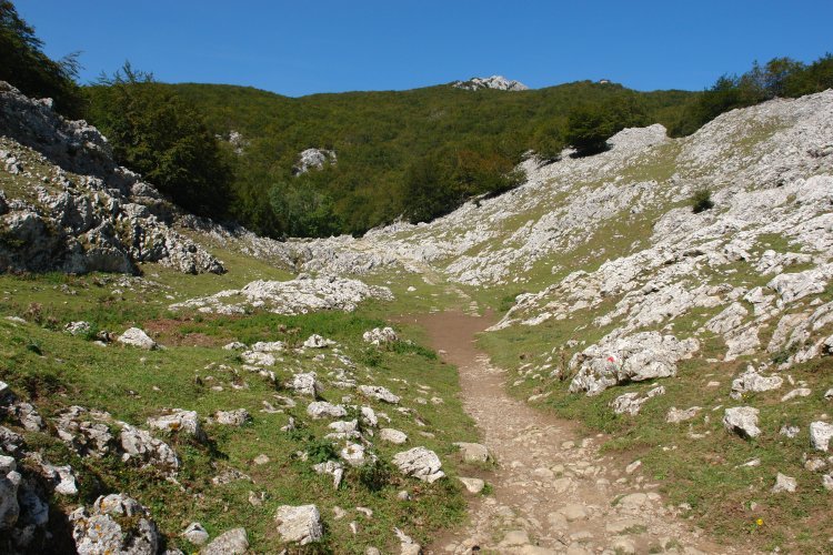 San Adrian: leizearen goi aldetik aterata ikusten dena