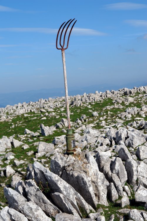 Buzoia (bai, sardea da)