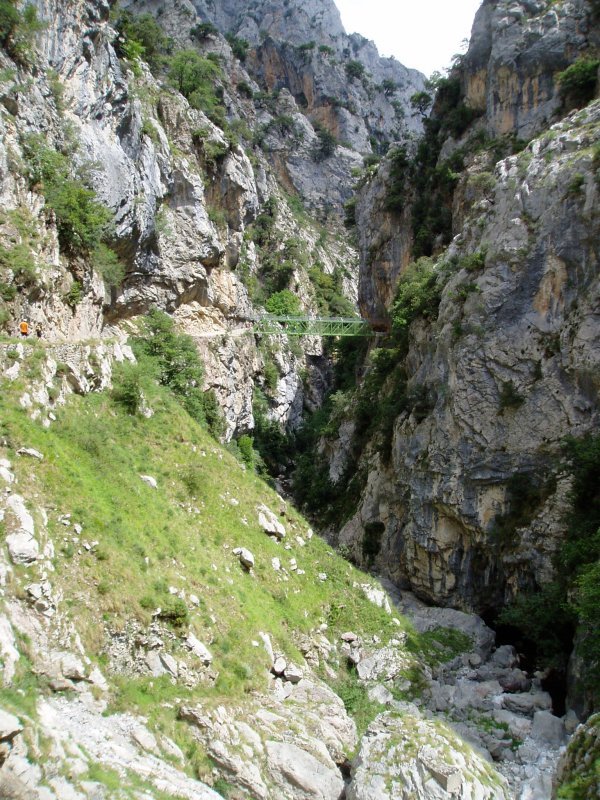 Goiko zubiaren inguruan