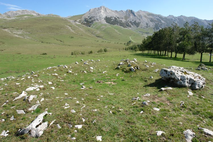 Gorostiaran mendebalekoa trikuarria