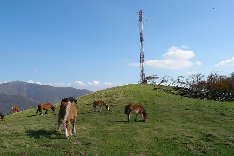 Gain aldeko ikuspegia