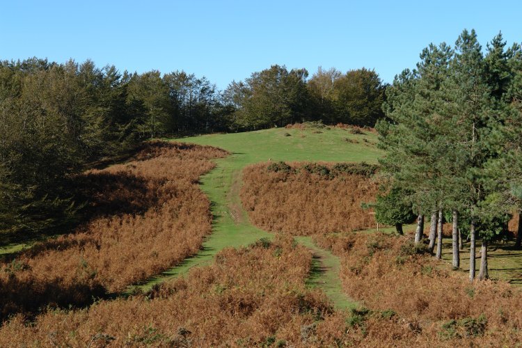 Kurutzebakar udazkenean