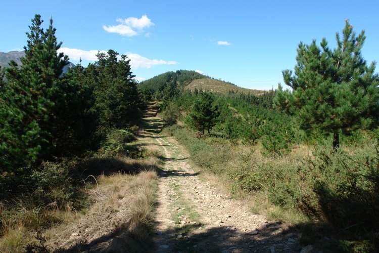 Mendebaldeko bizkarreko bidea