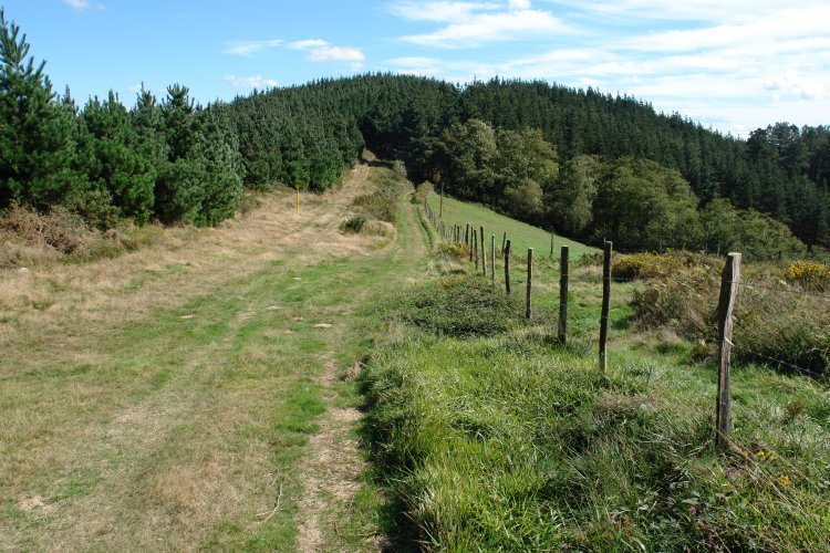 Kañueta eta Arrizurieta arteko bidea, Kanpazar aldean