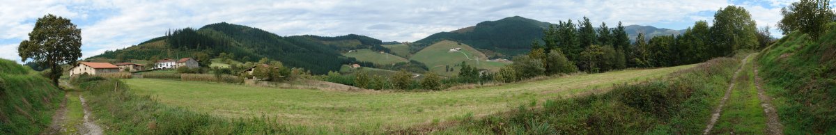 Basalgo aldeko panoramika