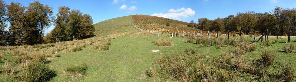 Tontorra hegoaldetik