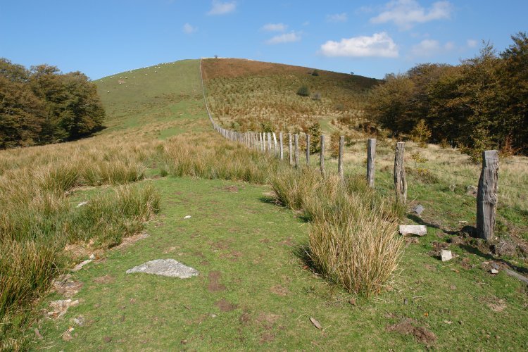 Tontorra hegoaldetik