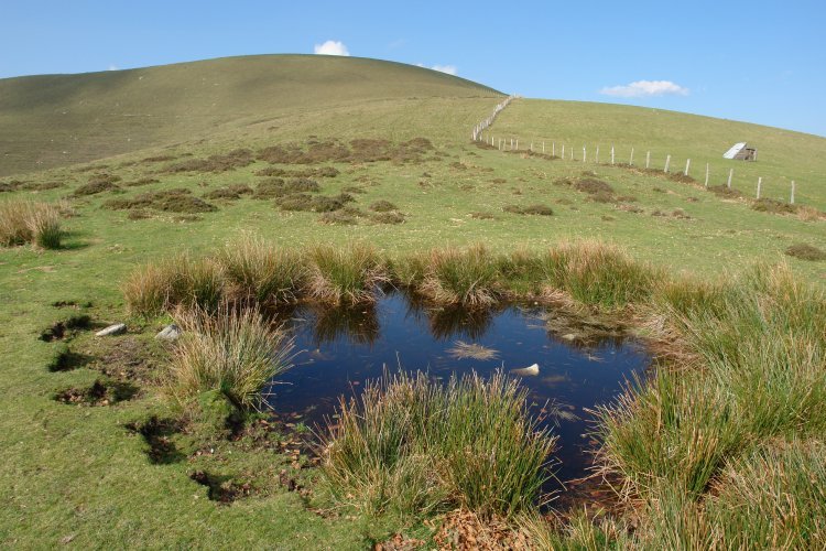 Ihia putzu beltz baten inguruan. Mendiaundi atzean.