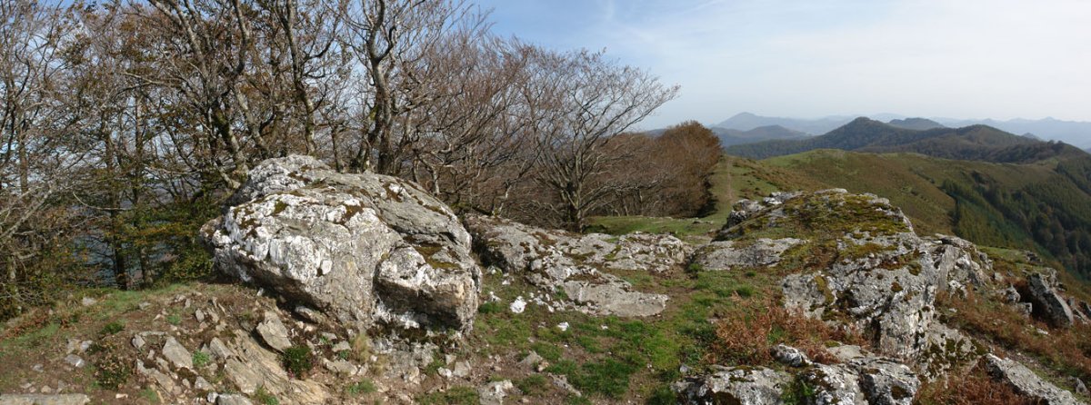 Asketa tontorra eta Aizkolegirainoko bizkarra