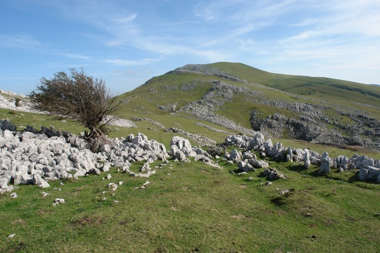 Ekialdeko isurialdea