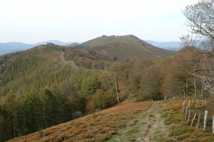 Azkua aldera luzatzen den bizkarra