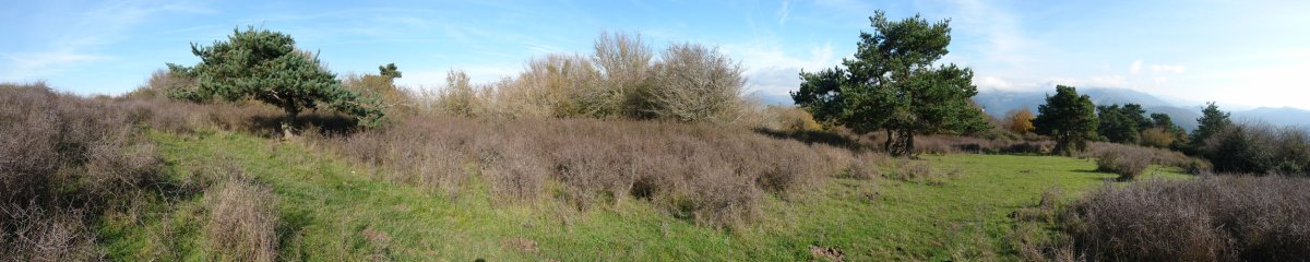 Tontorraren inguruak