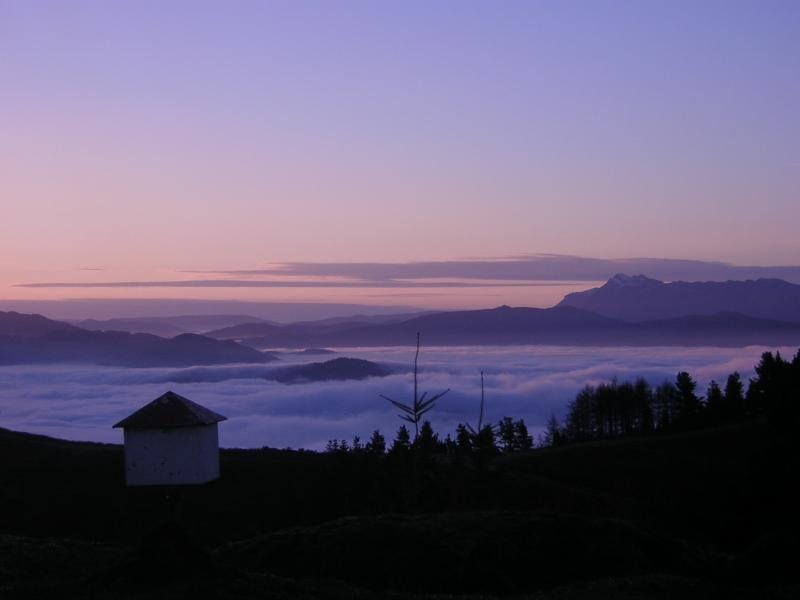 Belainoa Garagoitxitik